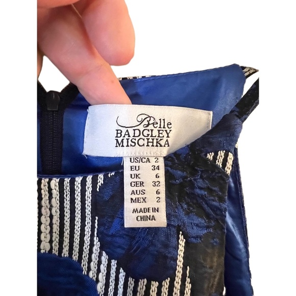 Belle Badgley Mischka Blue Floral Striped Sleeveless Fit And Flare Dress Size 2 - Picture 6 of 11